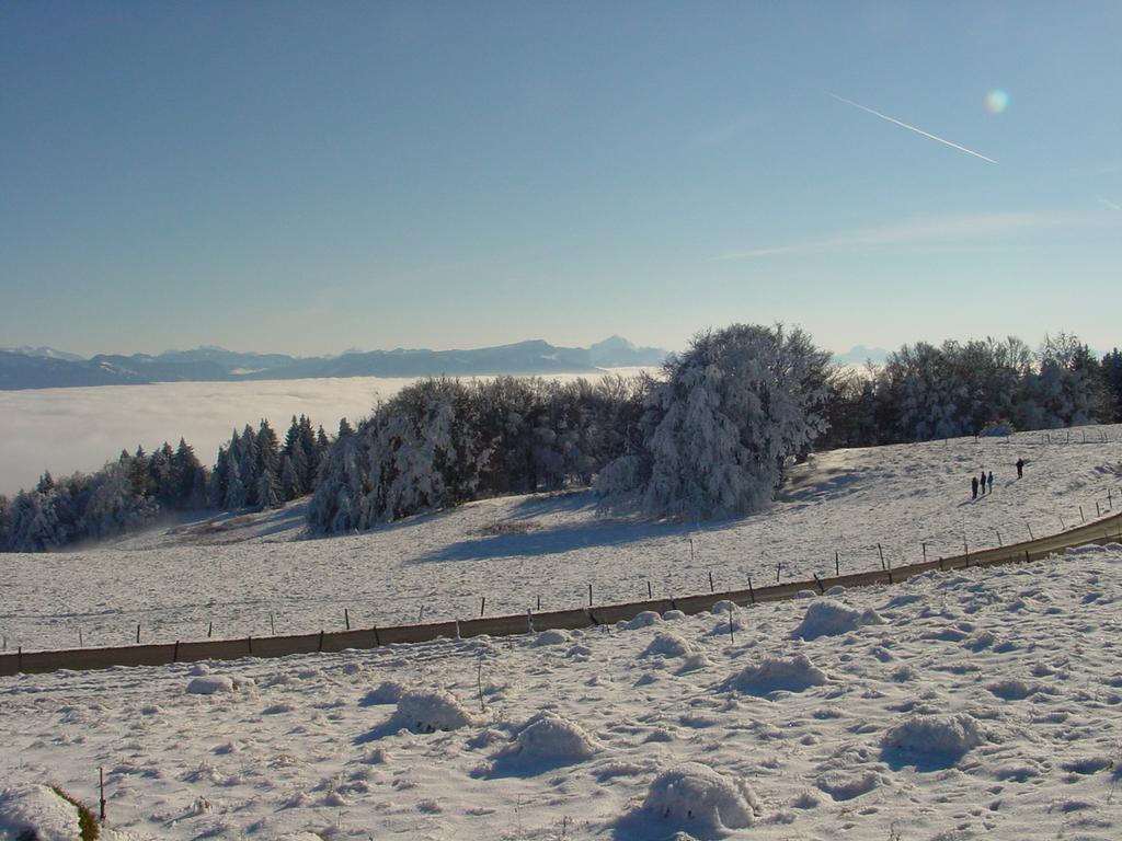 Clic pour voir l'image suivante