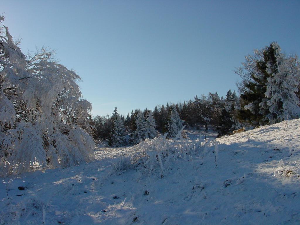 Clic pour voir l'image suivante