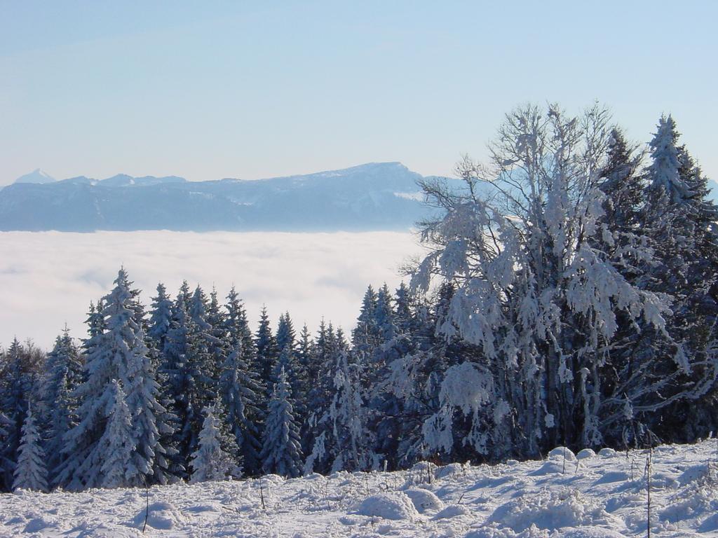 Clic pour voir l'image suivante