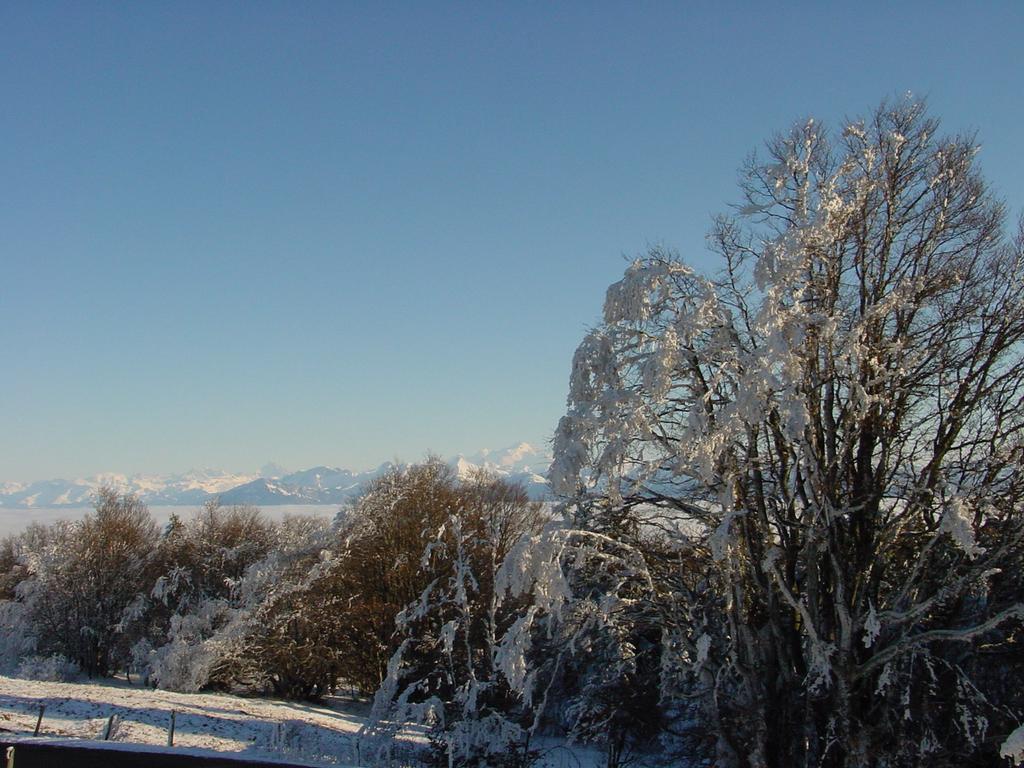 Clic pour voir l'image suivante