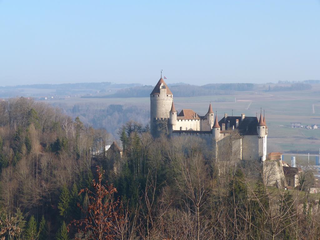 Cliqeu pour voir l'image suivante