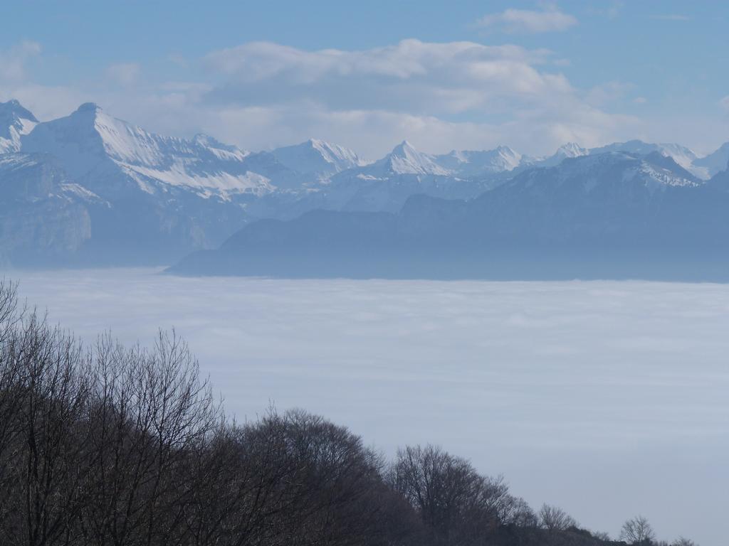 Cliqeu pour voir l'image suivante