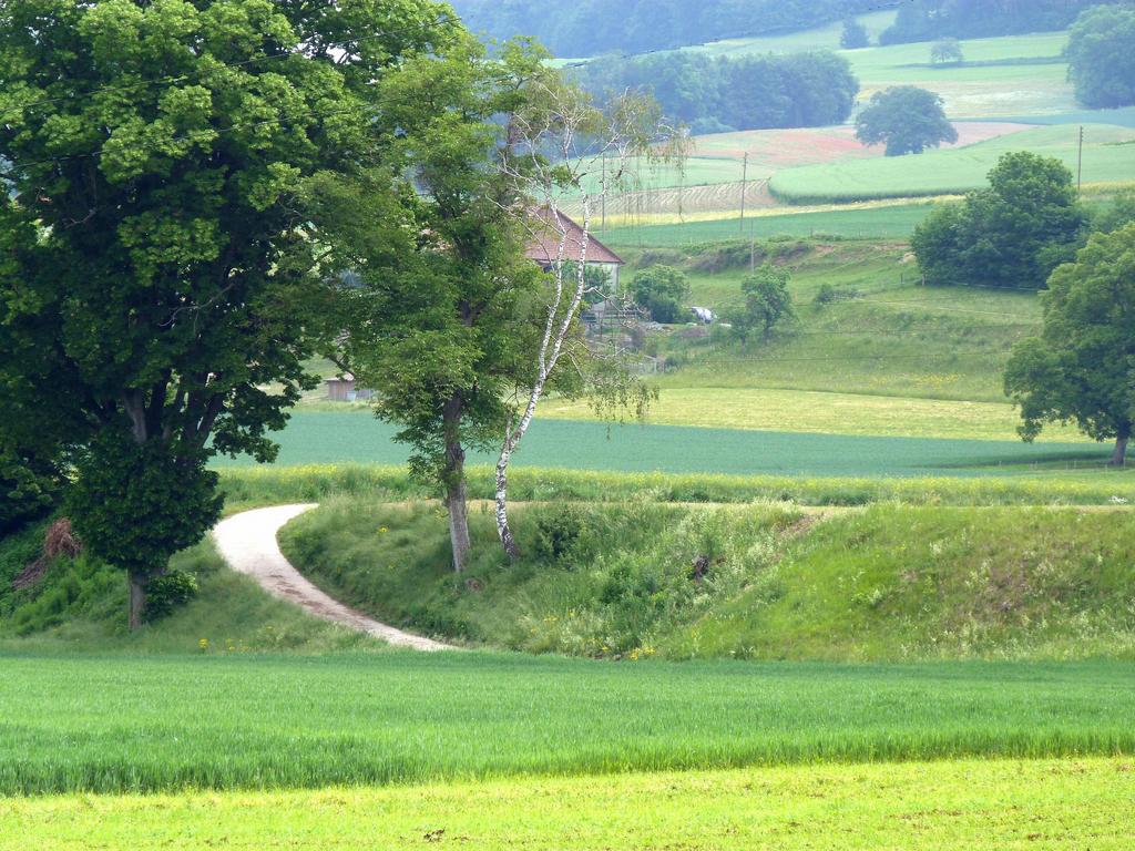 Cliqeu pour voir l'image suivante