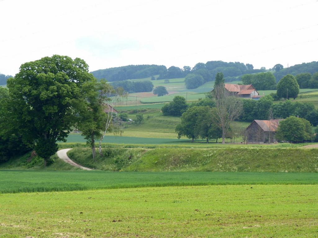 Cliqeu pour voir l'image suivante