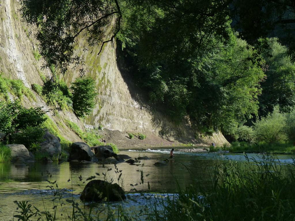 Cliqeu pour voir l'image suivante