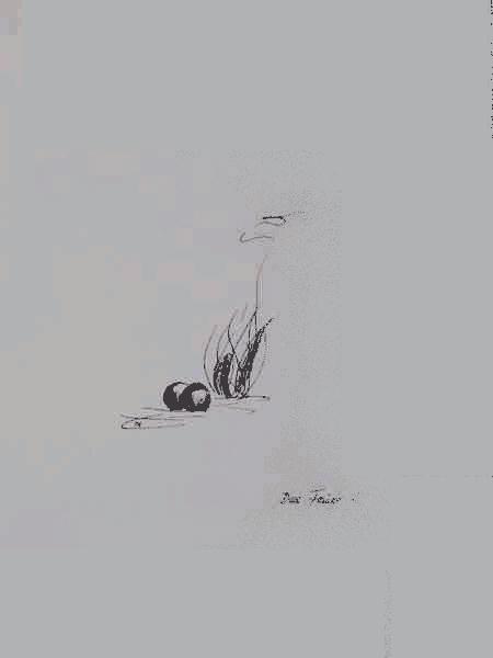 Cliquer pour voir l'image suivante