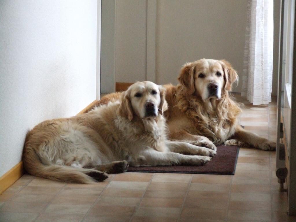 clic ici pour suivante