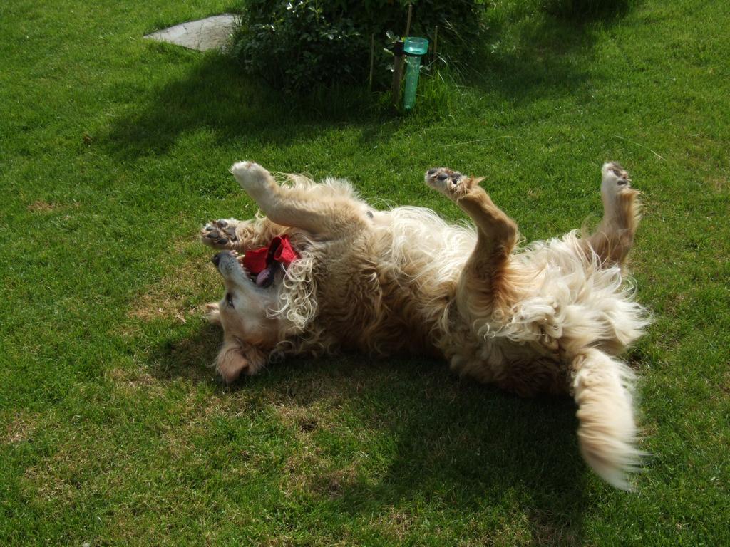 clic ici pour suivante