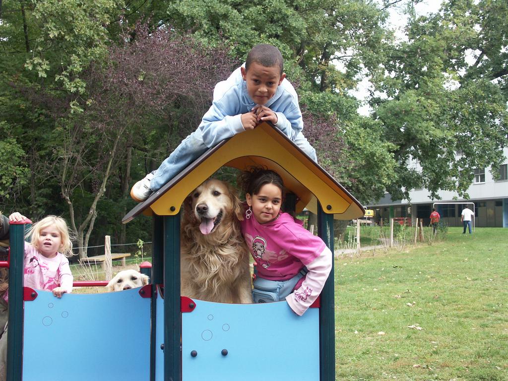 clic ici pour suivante