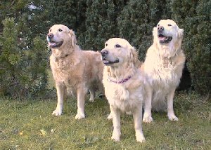 Froya, Debbie et Poustophe