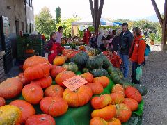 dsc01464.jpg (93876 bytes)