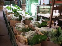 Préparer les paniers