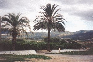 Vue du domaine