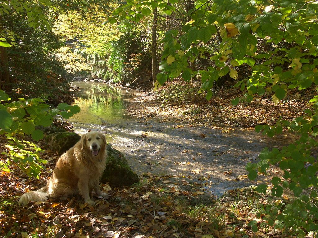 clic ici pour suivante